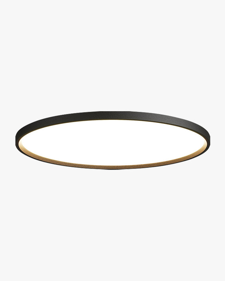 Flat Round Flush Mount Ceiling Light-LM1046
