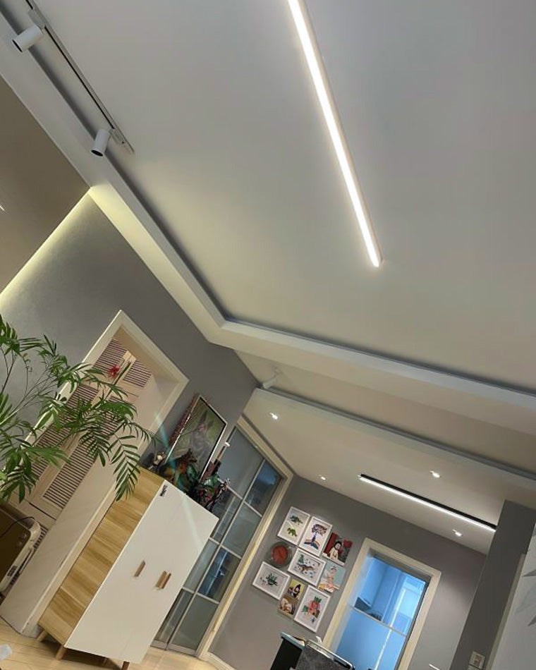 Slimline Ceiling Light- LM1009 - Lumora